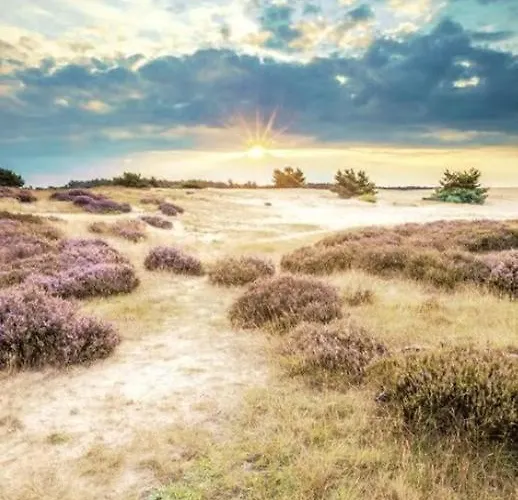 't Teutenhuys Eersel